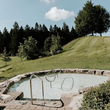 Heimatel - Ferienhaus Prinz-Lui Scheidegg Bagian luar foto
