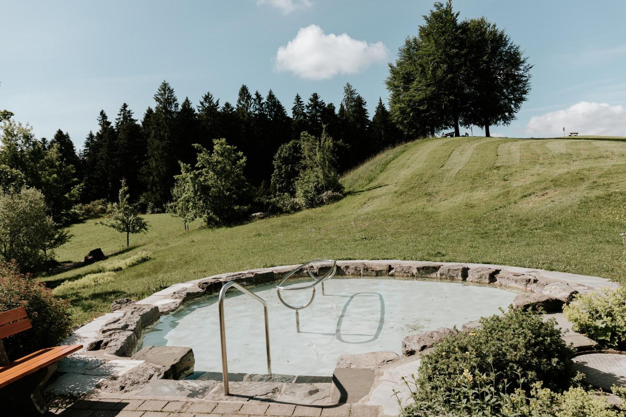 Heimatel - Ferienhaus Prinz-Lui Scheidegg Bagian luar foto