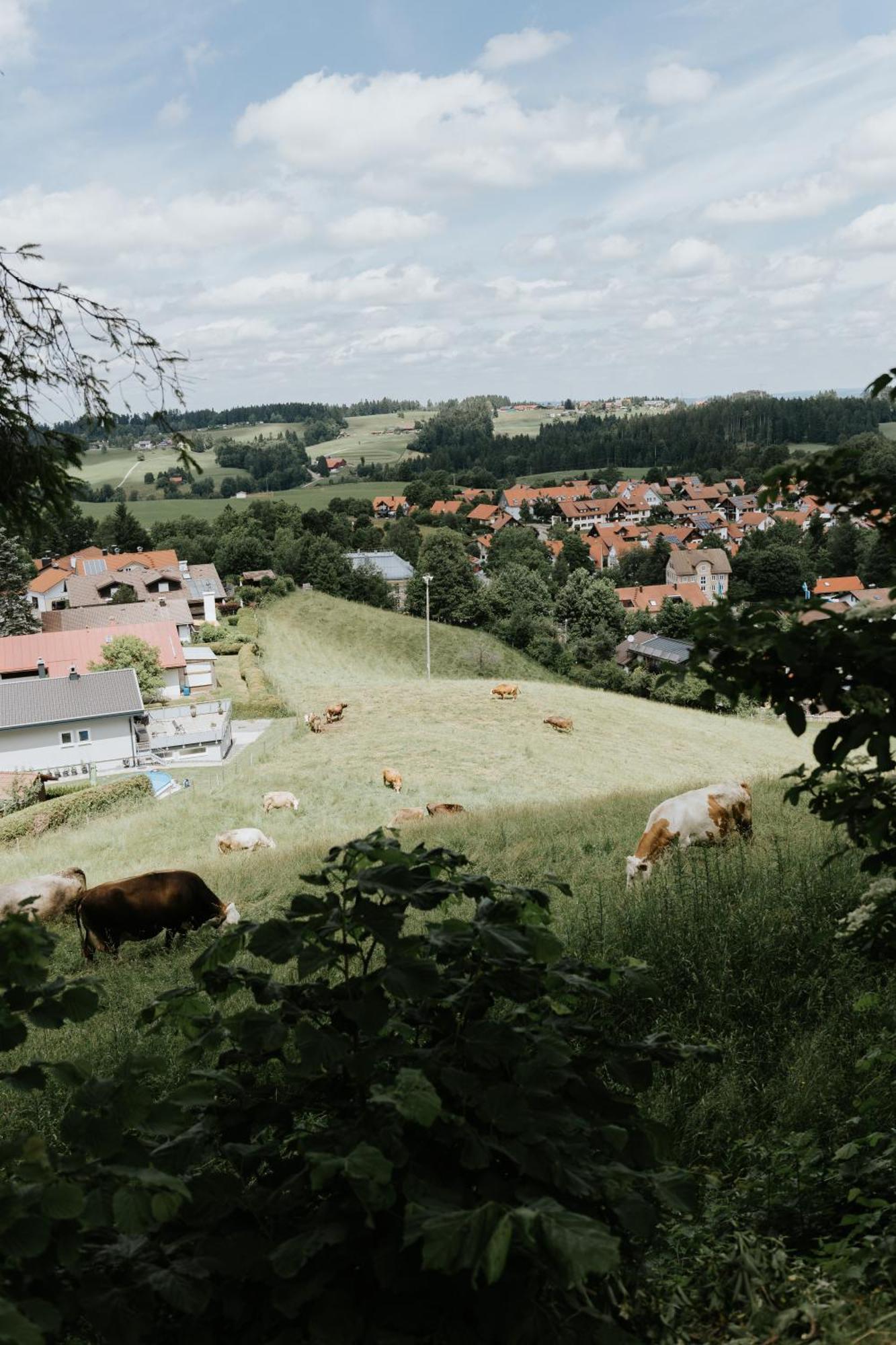 Heimatel - Ferienhaus Prinz-Lui Scheidegg Bagian luar foto