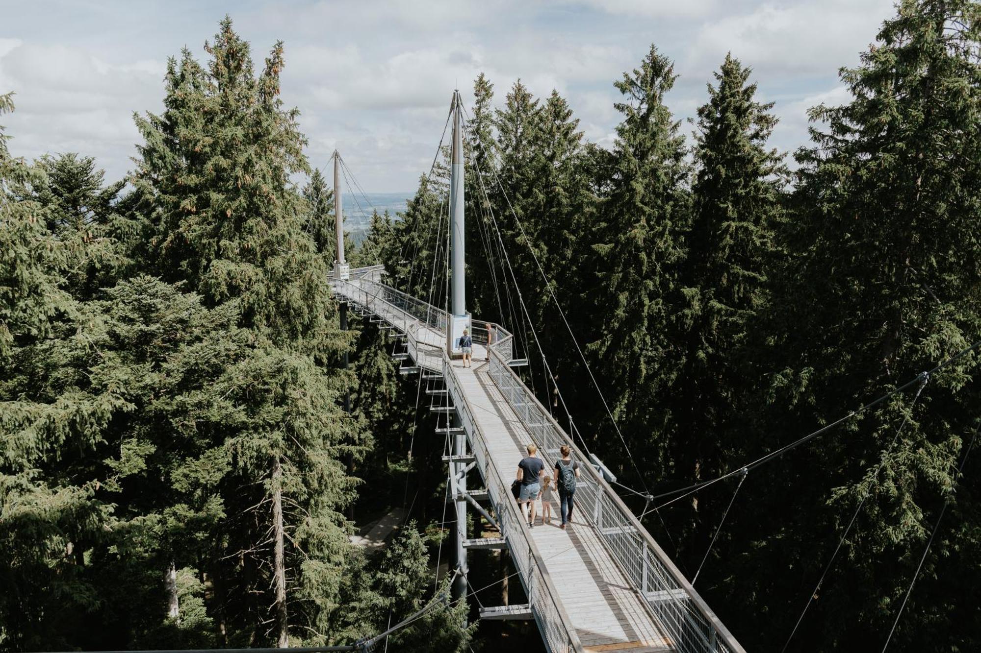 Heimatel - Ferienhaus Prinz-Lui Scheidegg Bagian luar foto